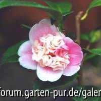 Name unbekannt