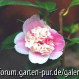 Name unbekannt