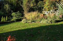 Garten 1 13-10-2007