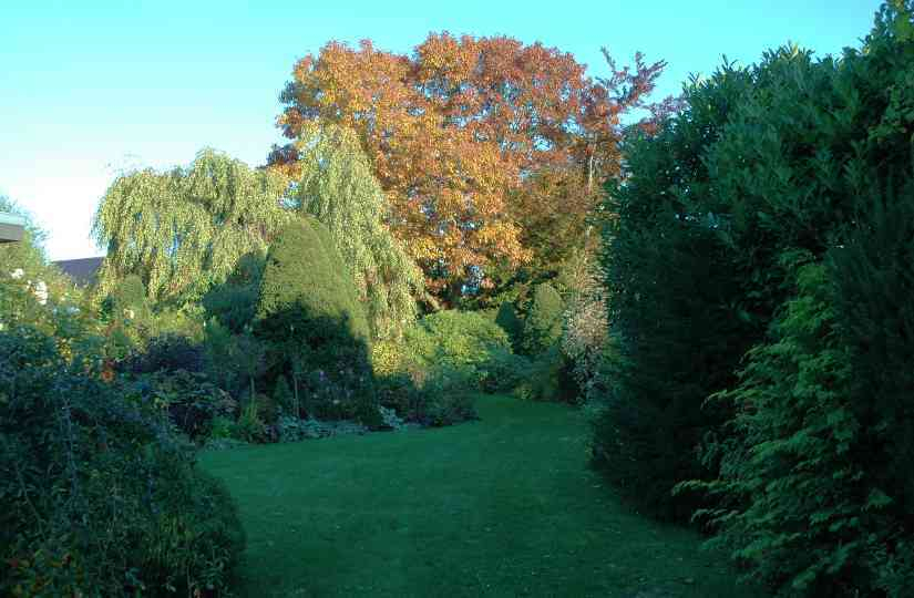 Garten 2 13-10-2007