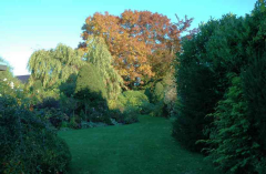 Garten 2 13-10-2007