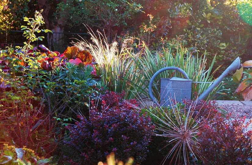 Garten 4 13-10-2007
