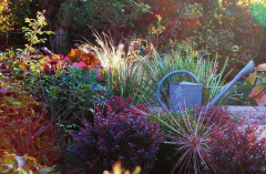 Garten 4 13-10-2007