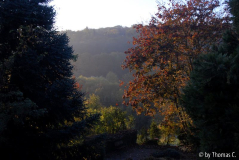 Herbstmorgen 02