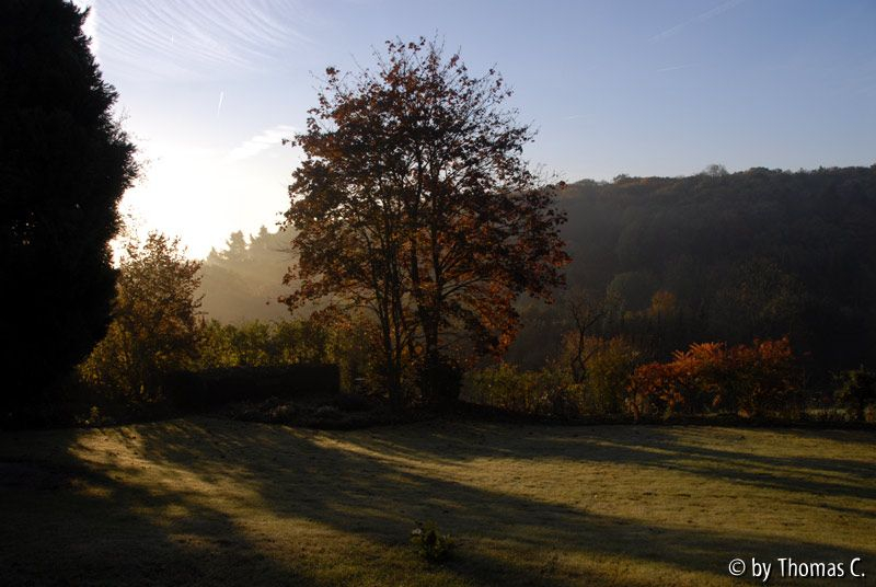 Herbstmorgen 04