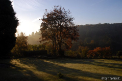 Herbstmorgen 04