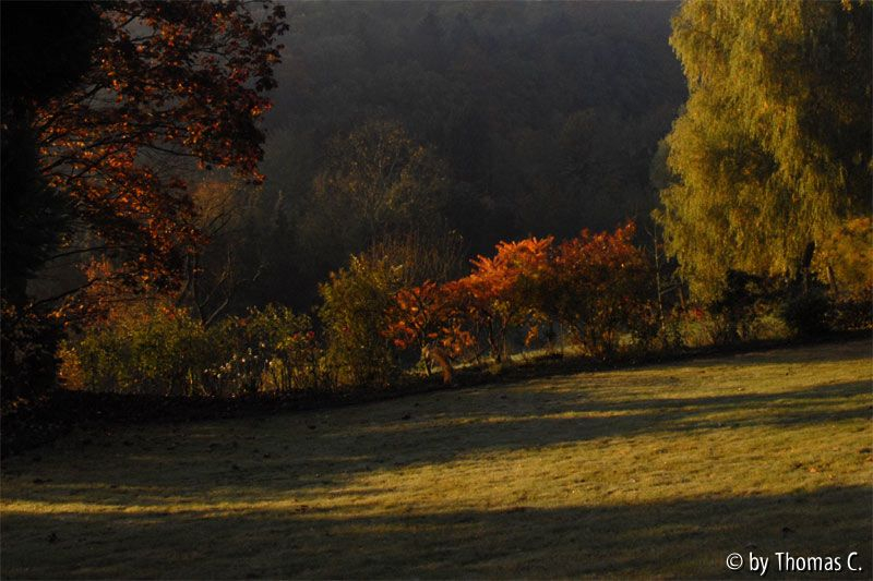 Herbstmorgen 05