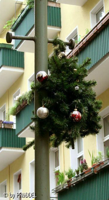 Weihnachtsbaum im Juni