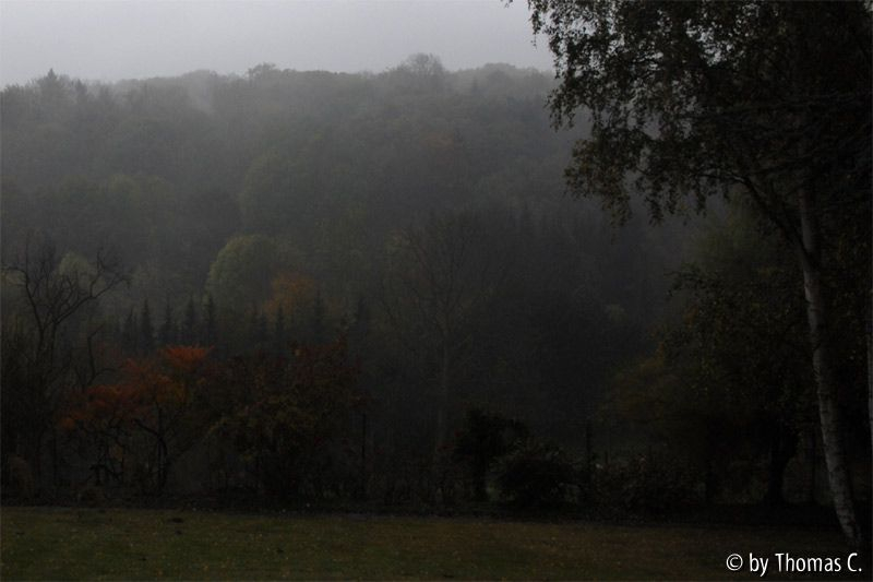 Herbstabend 02