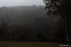 Herbstabend 02