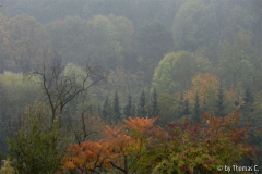 Herbstabend 03