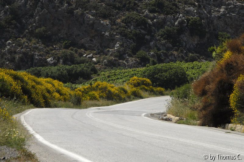 Kreta 07 003