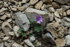 Kreta 07 021