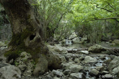 Kreta 07 024