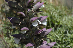 Kreta 07 033