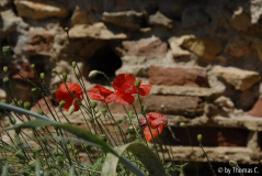 Kreta 07 034
