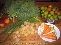 2007_10_24_ernte.jpg