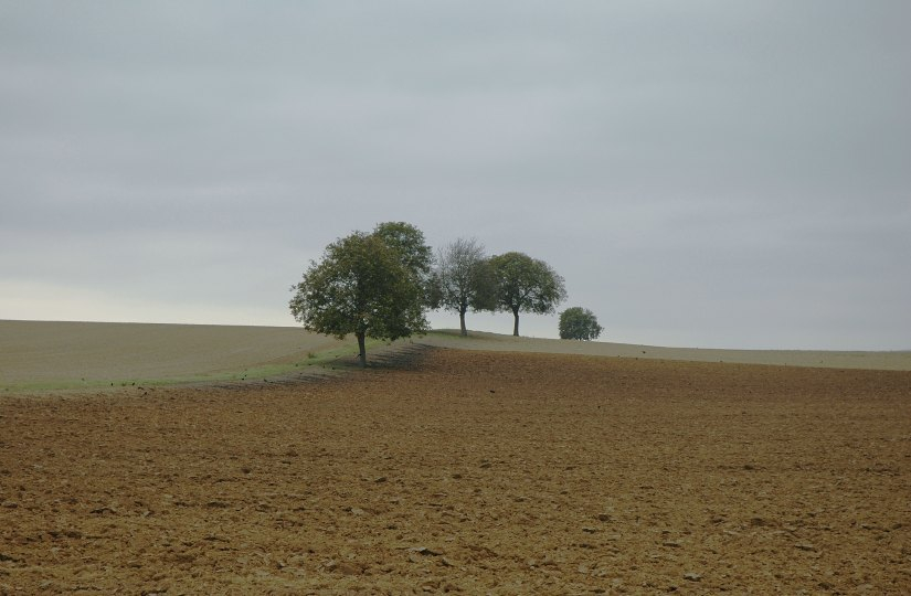 Feldansichten 1