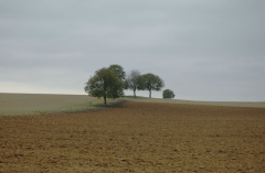Feldansichten 1