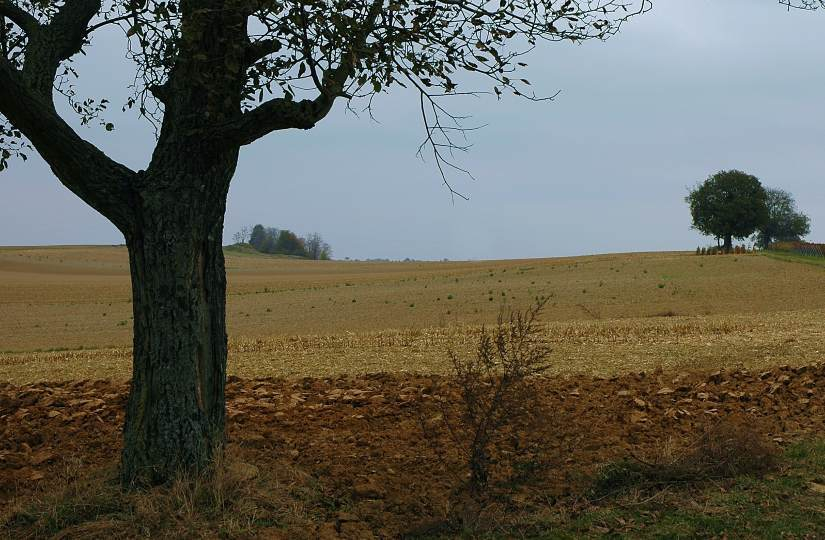 Feldansichten 3