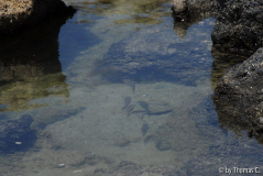 Kreta 07 046