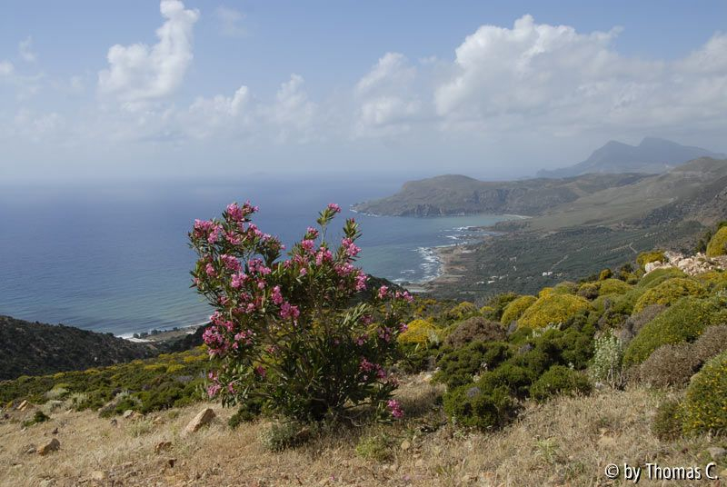 Kreta 07 050