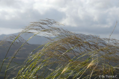 Kreta 07 055