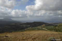 Kreta 07 056