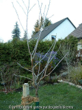 b0411020_480.jpg