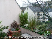 Balkon - erster Kübel