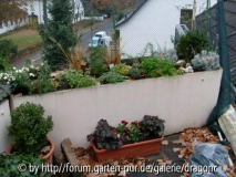 Balkon - vierter Kübel