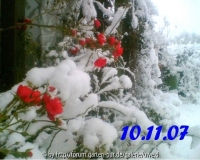 Winter im Garten
