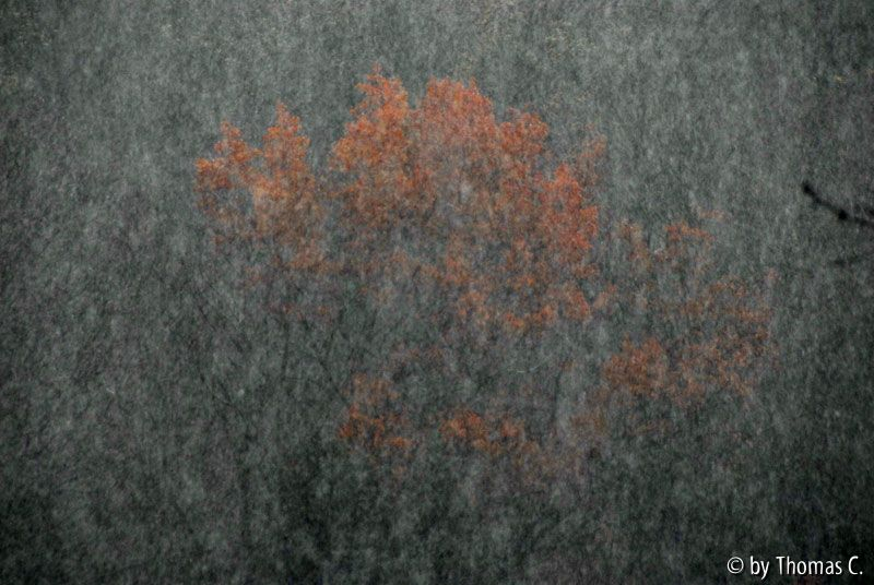 Novemberregen 01