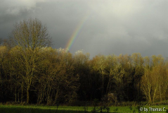 Novemberregen 05