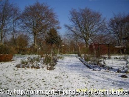 Rosentunnel zweites Teil