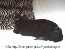 Milou (alte Whg)