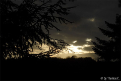 November-Nachmittag