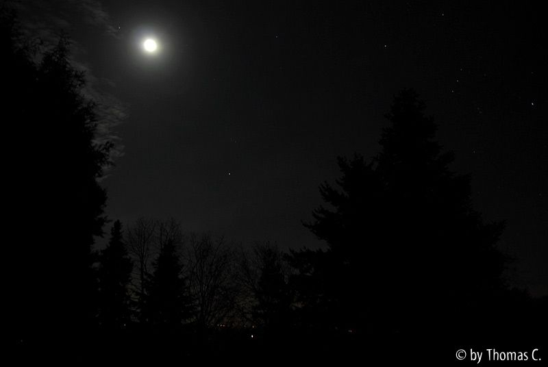 Novembernacht