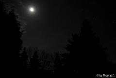 Novembernacht