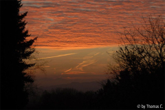 Novembermorgen 02