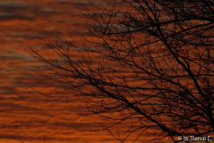 Novembermorgen 03