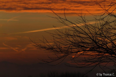 Novembermorgen 04