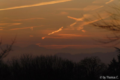 Novembermorgen 05