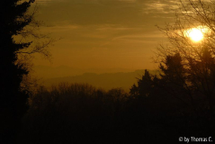 Novembermorgen 06