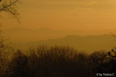 Novembermorgen 07