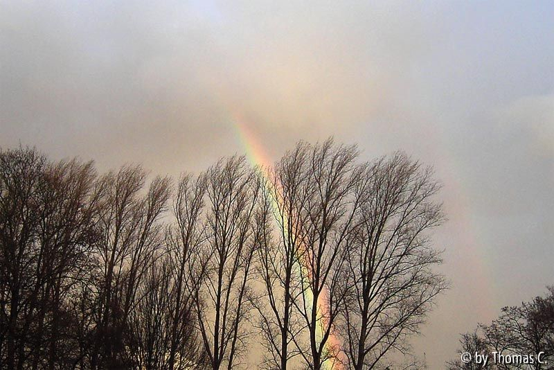 Regenbogen im Dezember
