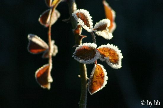 019