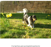 Test Dickie 2