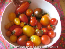 Tomatenernte August 2007