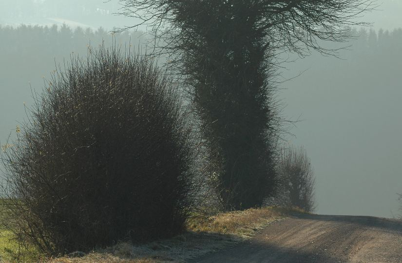 Wege Dezember
